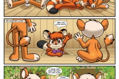 softpaw_2_6